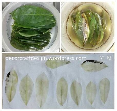 four pictures show different stages of leaves being cut and placed on paper plates, with the same type of leaf to be used