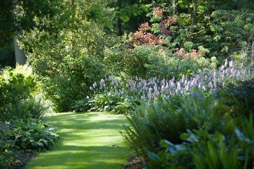 an image of a garden setting with flowers and plants in the foreground, along with trees on either side