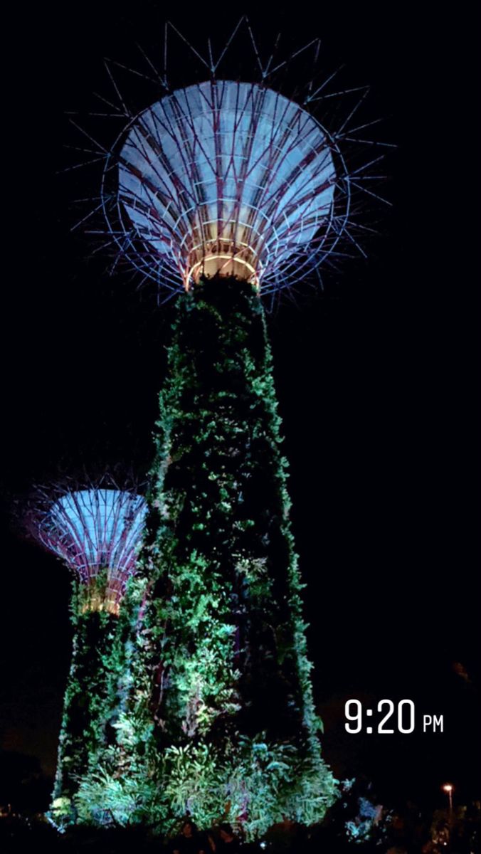 the gardens by the bay at night are lit up with colorful lights and trees in the foreground