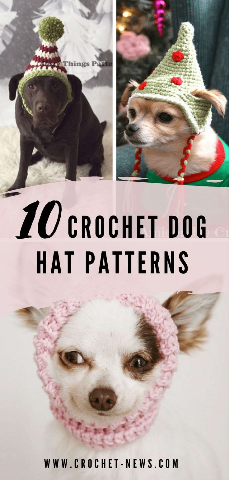 the top ten crochet dog hat patterns