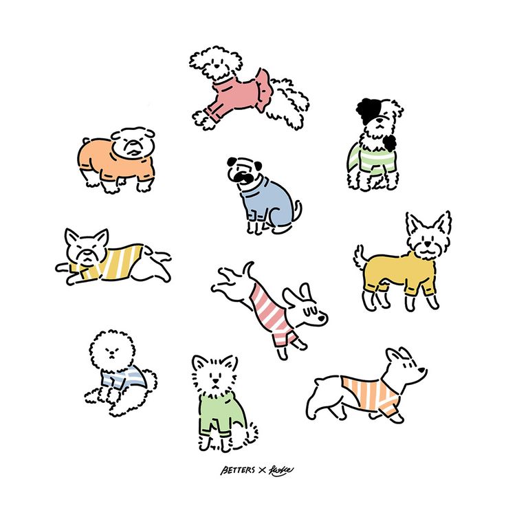 an image of dogs in sweaters on a white background with words written below it