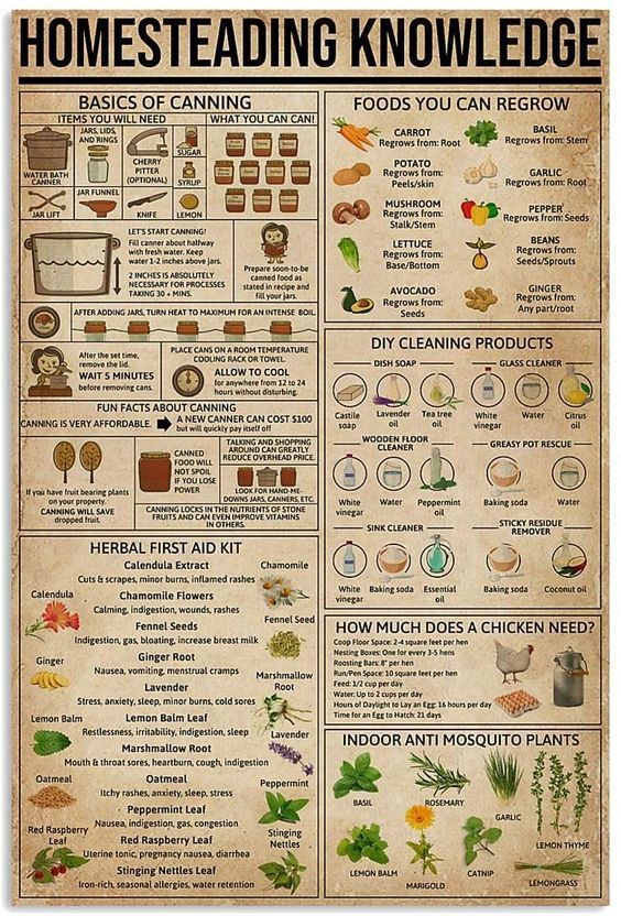 Homesteading Knowledge Poster N003 High quality resin-coated photo base paper. Satin photo finish, maximum color gamut, dmax, and image resolution Cooking Hobby, Magia Das Ervas, Survival Life Hacks, Survival Life, Camping Ideas, Survival Tips, Useful Life Hacks, Survival Skills, Permaculture