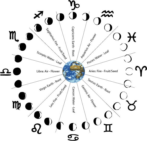 the zodiac signs are arranged in a circle