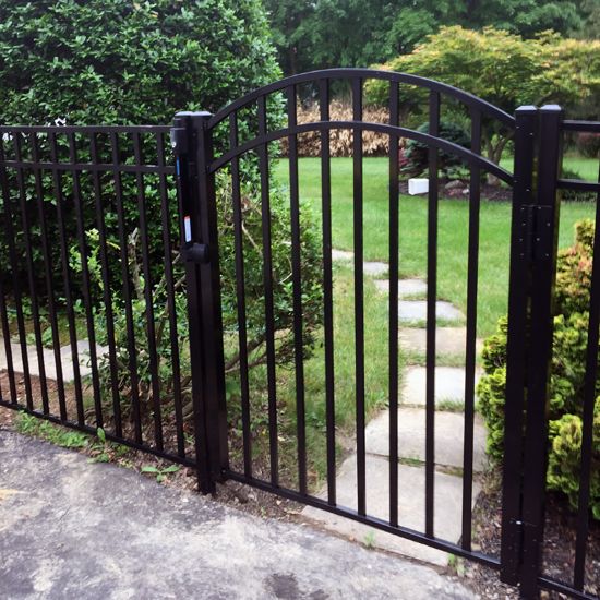 an iron gate in the middle of a garden