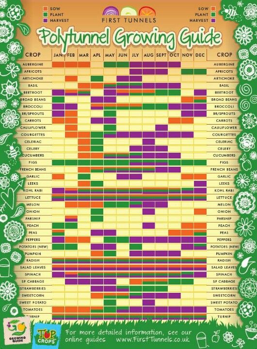 a poster showing the growing guide for children