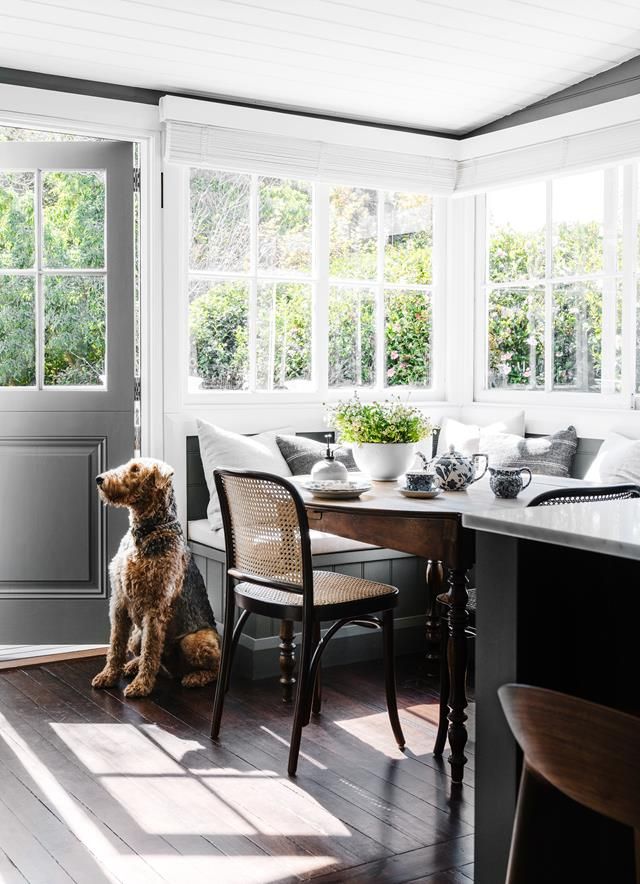 a dog sitting on the floor in front of a table with chairs and a bench