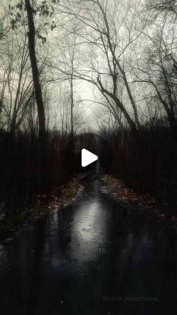 an empty road in the middle of a forest with trees and rain falling down on it