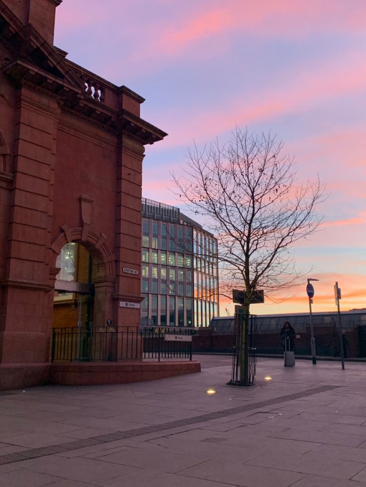 a tree in the middle of a plaza at sunset