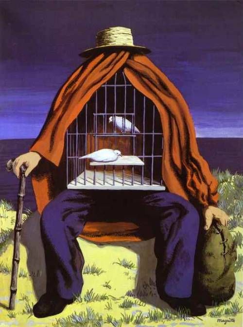 a man sitting on top of a bench next to a cage with a bird in it