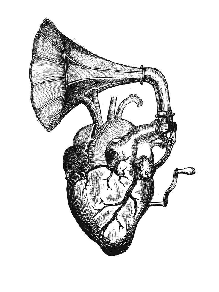 a drawing of a human heart with a trumpet