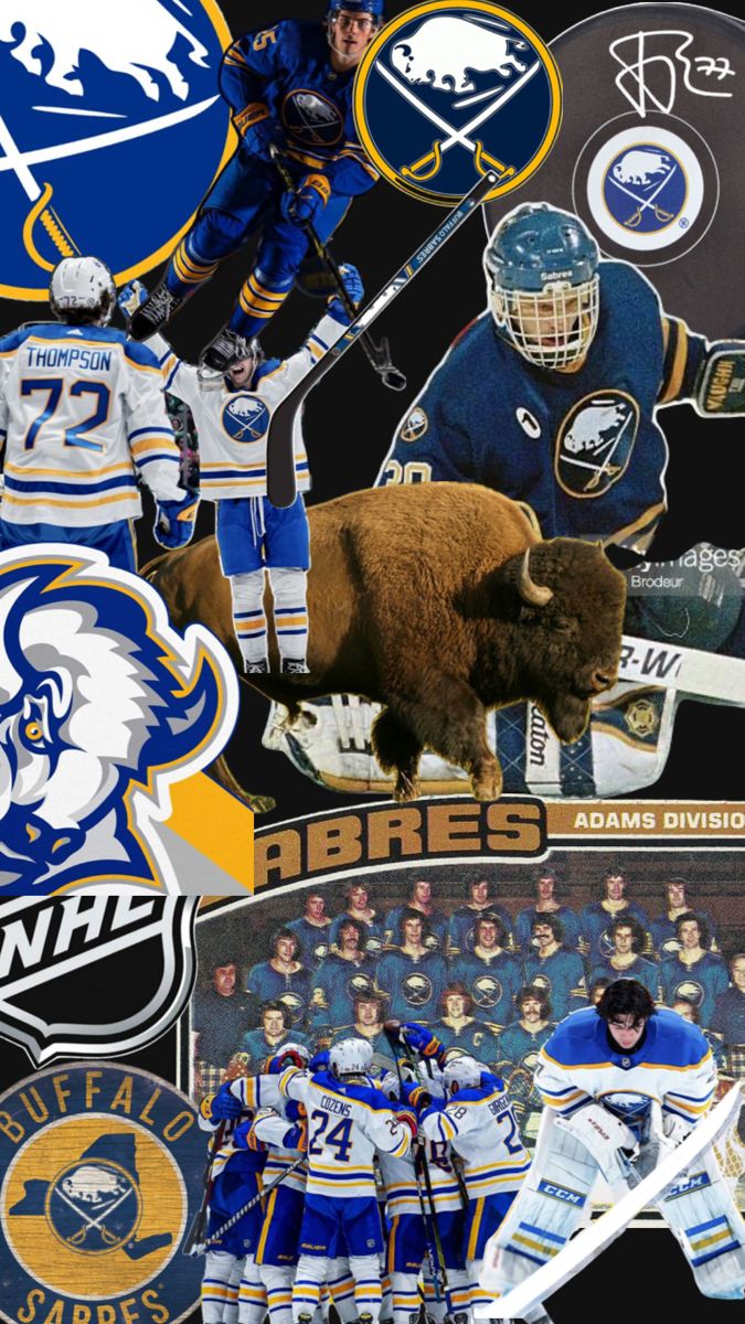 the collage shows hockey players, bisons, and other sports related items in different colors