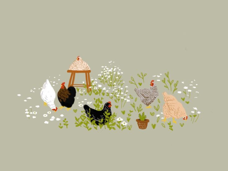 chickens and roosters in the grass near a stool