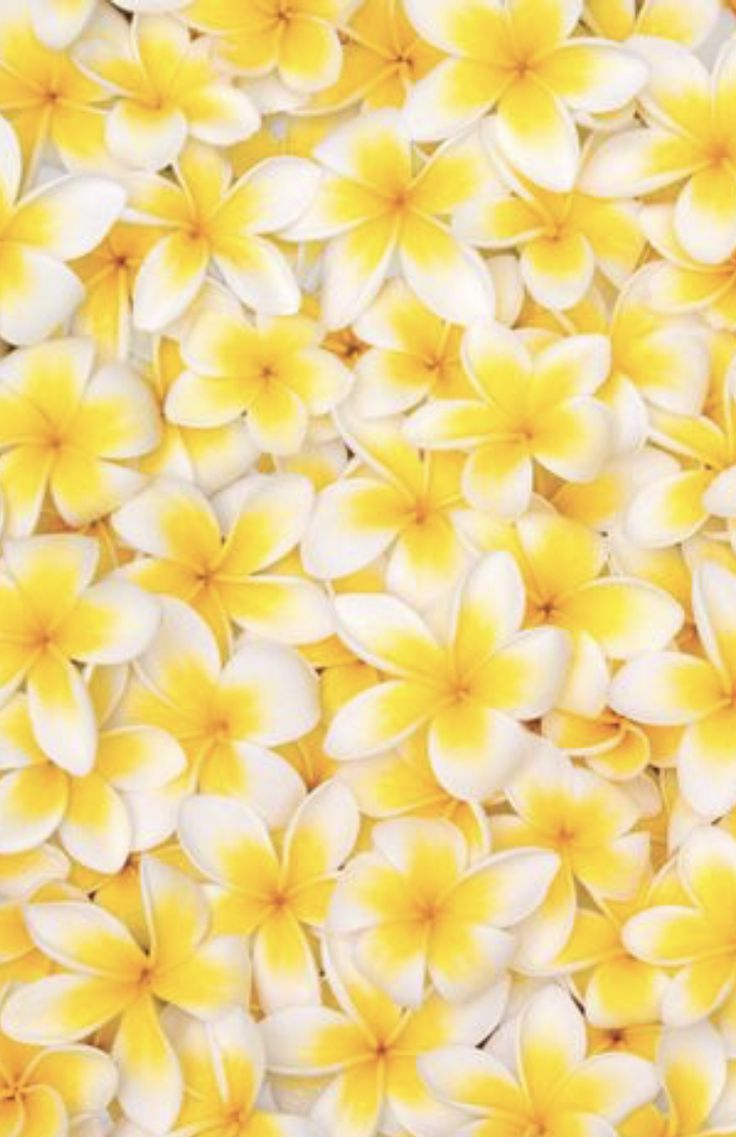 many yellow and white flowers are arranged in the shape of a wallpaper or background