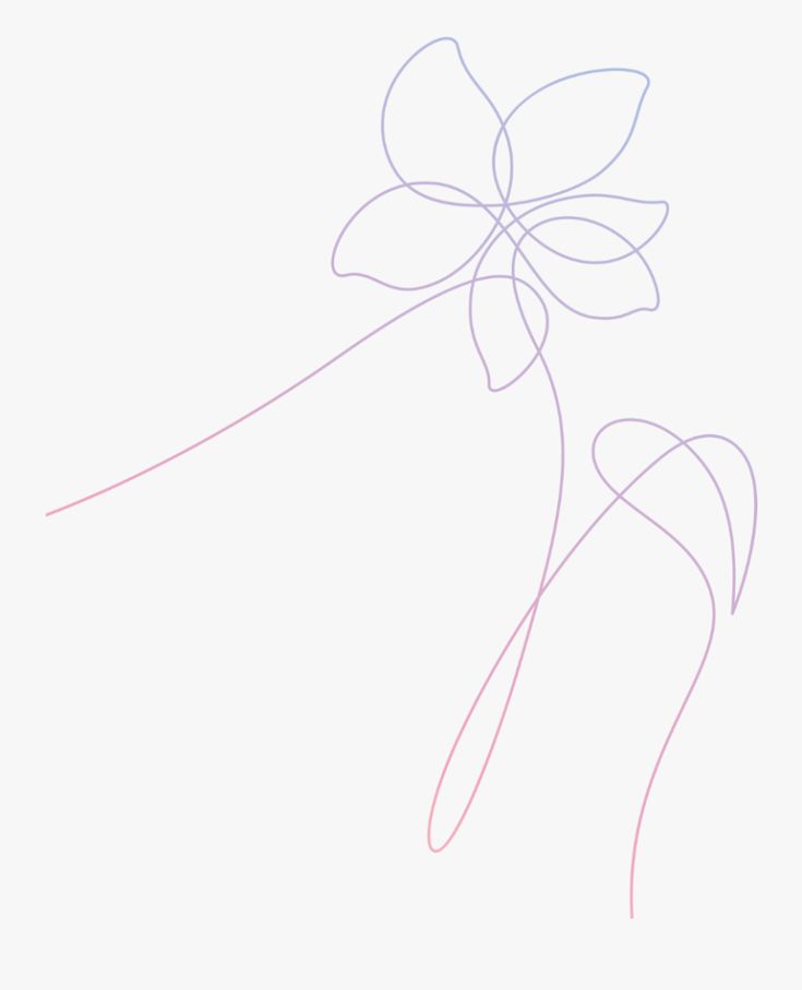 a line drawing of a flower on a white background with pink and blue lines in the center