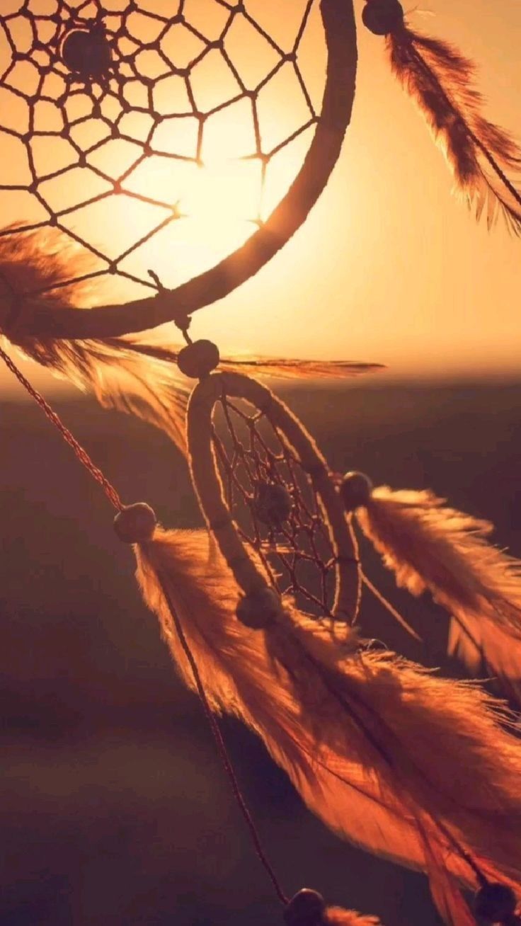 a close up of a dream catcher with the sun in the background