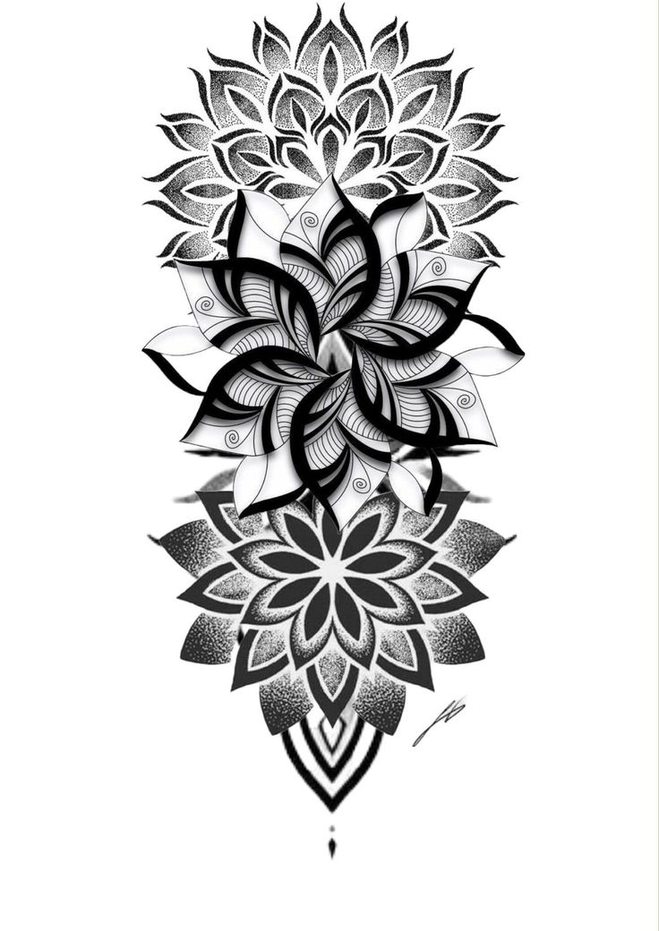 a black and white drawing of a flower with leaves on the bottom half of it