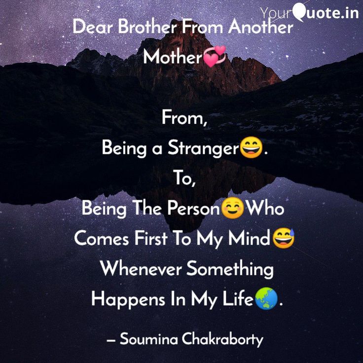 the quote for dear brother from another mother