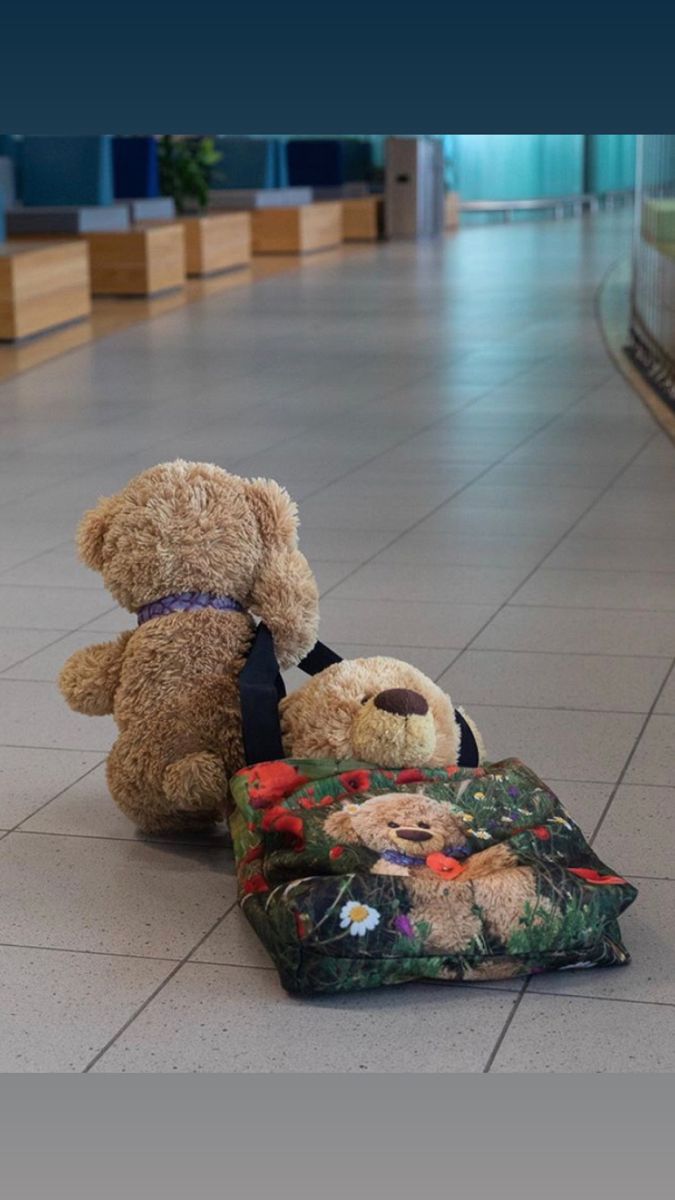 two teddy bears sitting on the floor next to each other in an empty room with tiled floors