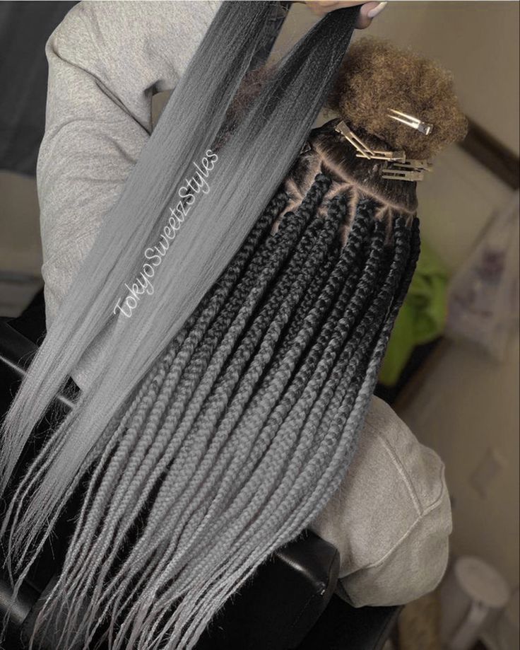 Grey And Black Braids Hairstyles, Box Braids With Grey Highlights, Black And Gray Box Braids, Platinum Braids On Black Women, Grey Box Braids, Grey Hair Braids, Black Hair Protective Styles, Rasta Hair, Hair Braid Patterns