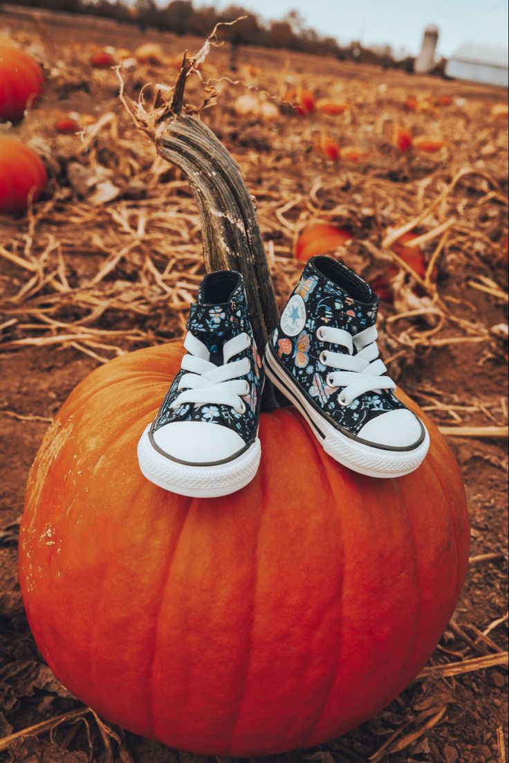 a pair of shoes sitting on top of a pumpkin in the middle of a field