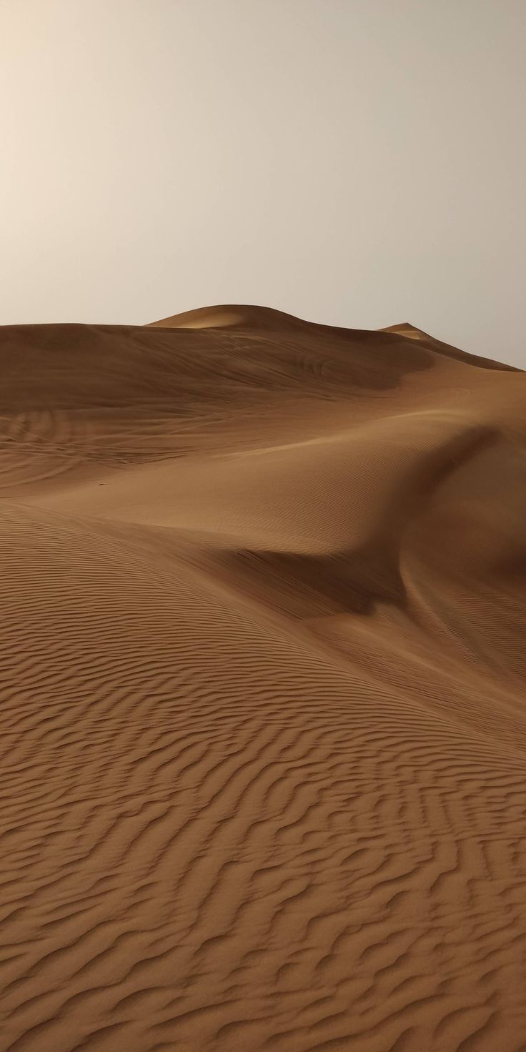 the sun is shining on sand dunes in the desert