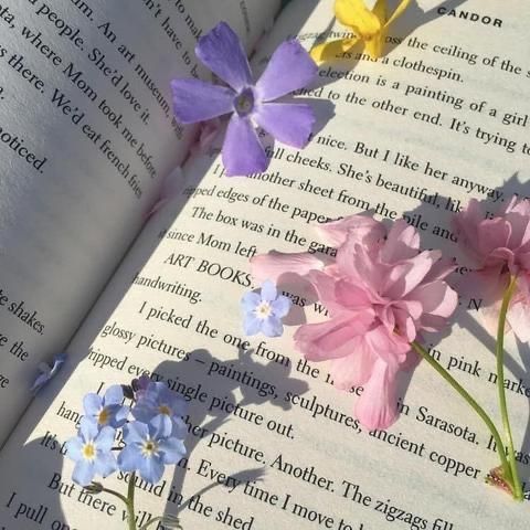 three flowers are placed on top of an open book with the pages turned upside down