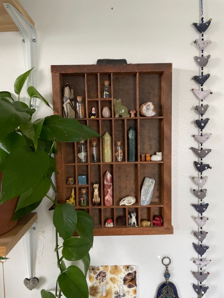 a wooden shelf filled with lots of different items next to a potted green plant