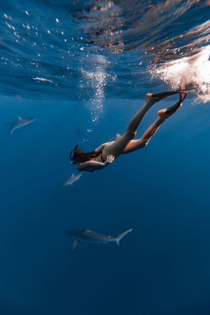 a woman swimming in the ocean with sharks around her