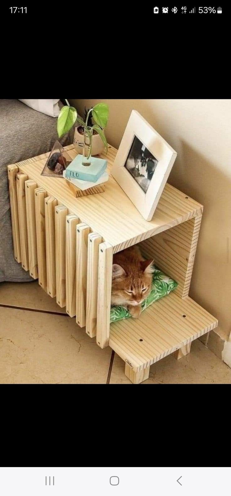 a cat laying on top of a wooden shelf