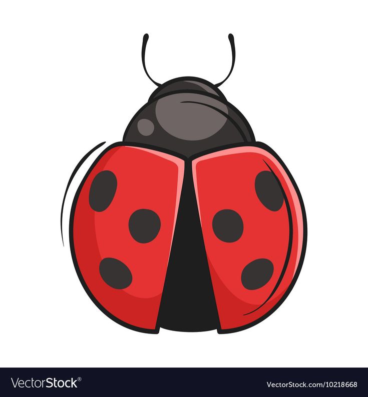 a ladybug with black dots on it's back legs