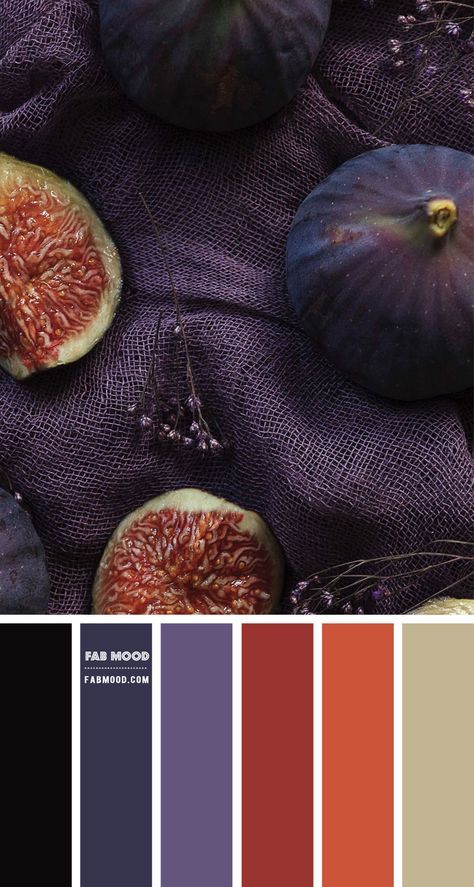 an image of figs and other fruits with color swatches in the bottom row