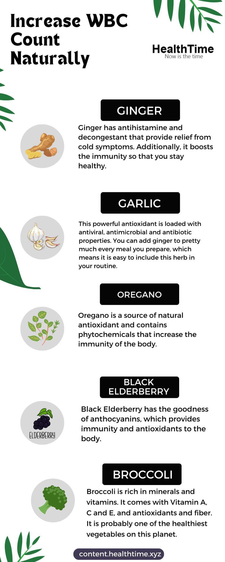 White Blood Cells Increase, Healthy Food Chart, White Blood Cell, Cold Symptoms, White Blood, Effective Workout Routines, Food Charts, White Blood Cells, Blood Cells