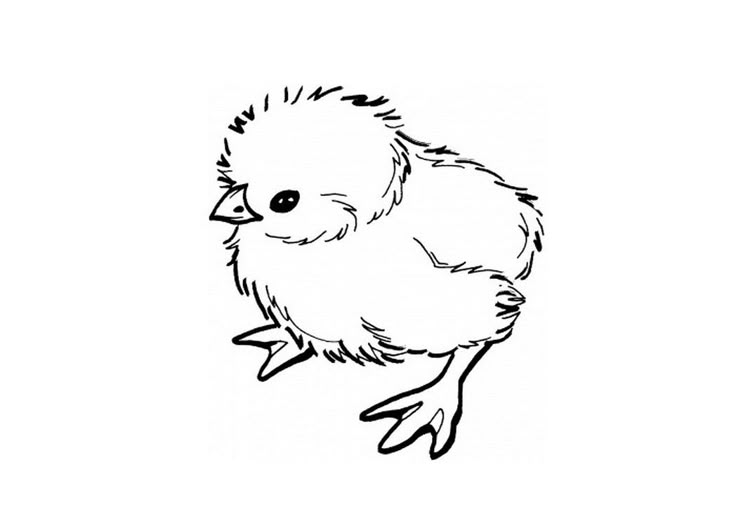 a black and white drawing of a small bird