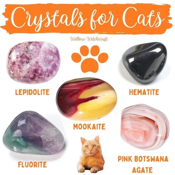 crystals for cats with their names and pictures