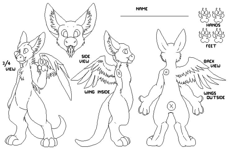 pokemon coloring pages for kids with different types of wings and their name on the page