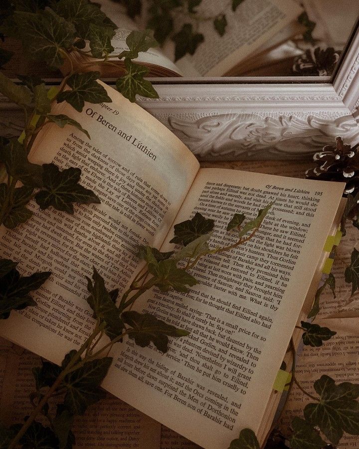 an open book sitting on top of a wooden table next to a mirror and ivy