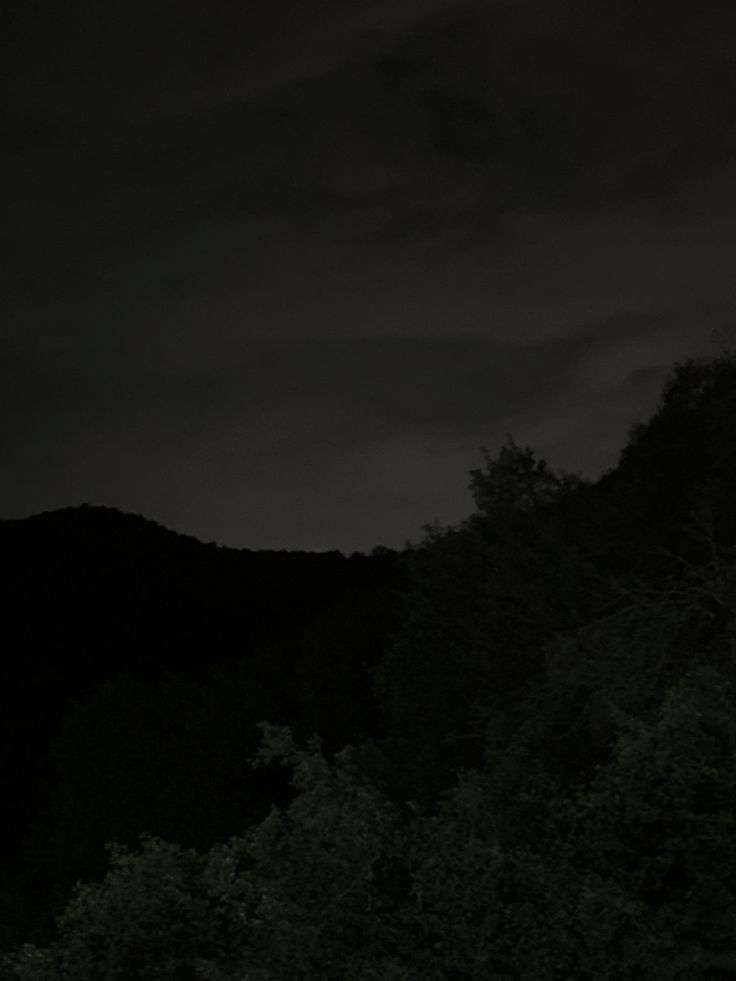 black and white photograph of trees at night with dark clouds in the sky behind them