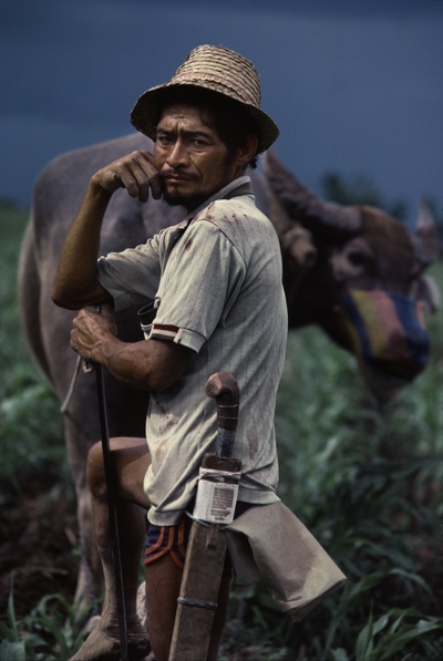 a man standing in the middle of a field next to a cow