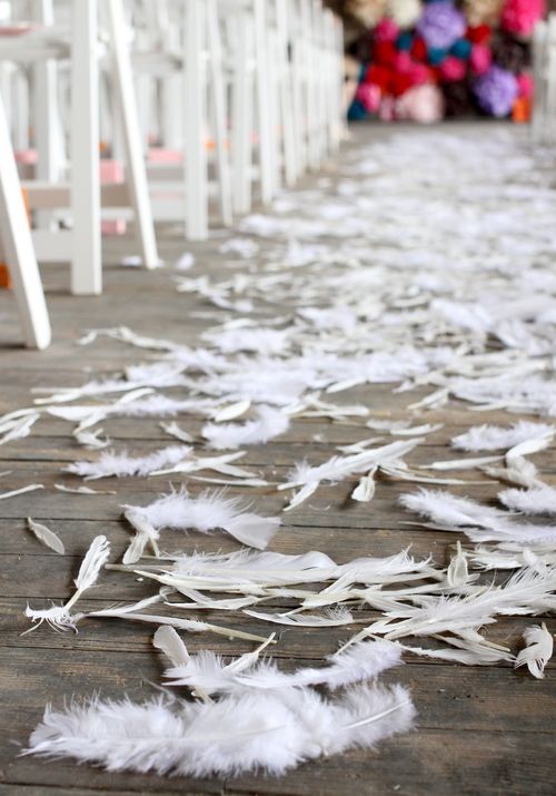 white chairs lined up with feathers on the floor