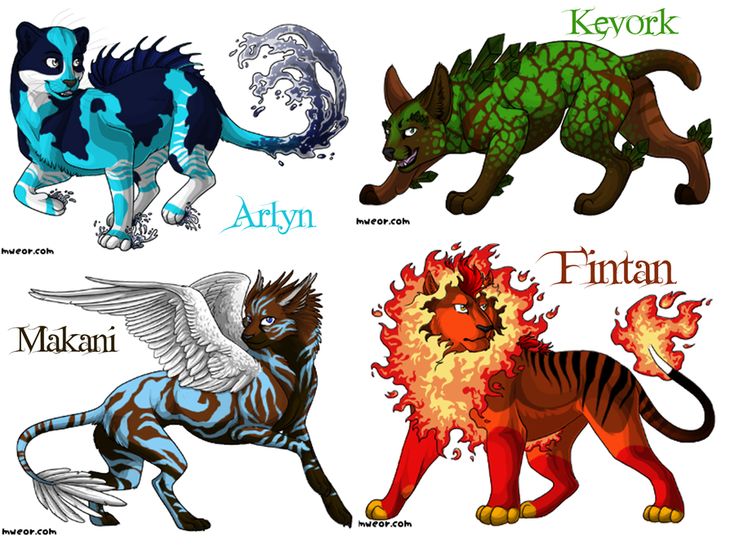 four different types of animals with their names in each one's body and colors