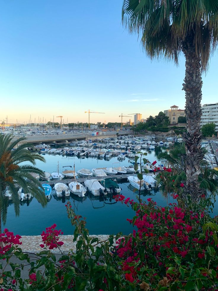 a marina filled with lots of boats next to palm trees and flowers in the foreground