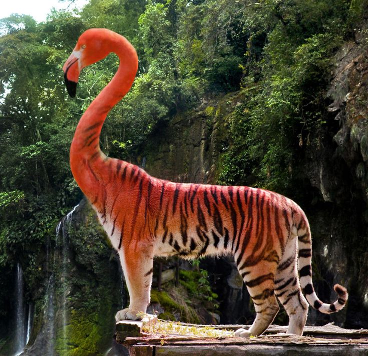 a large orange and white tiger standing on top of a wooden platform next to a waterfall