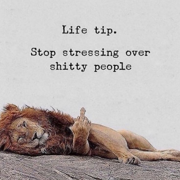 Get Off My Lawn, Lion Quotes, Weird Quotes Funny, Truth Of Life, Empowerment Quotes, Motivation Success, Real Life Quotes, News Website, People Quotes