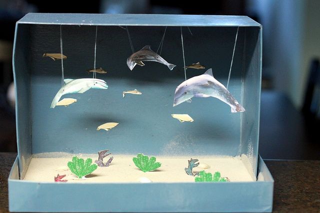 two dolphins are swimming in an aquarium filled with plants and other things on the table