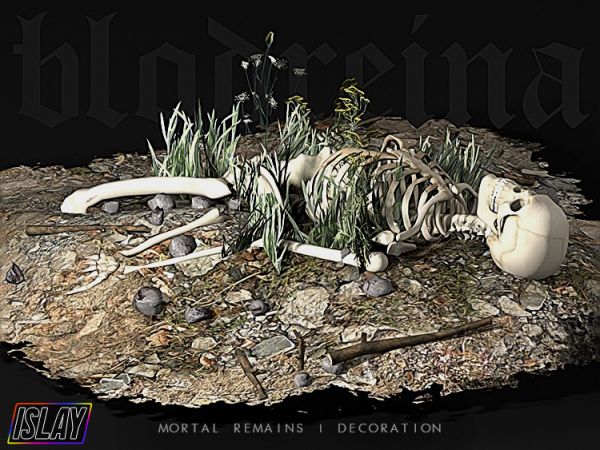 an image of a skeleton lying on the ground with bones and plants in it's body