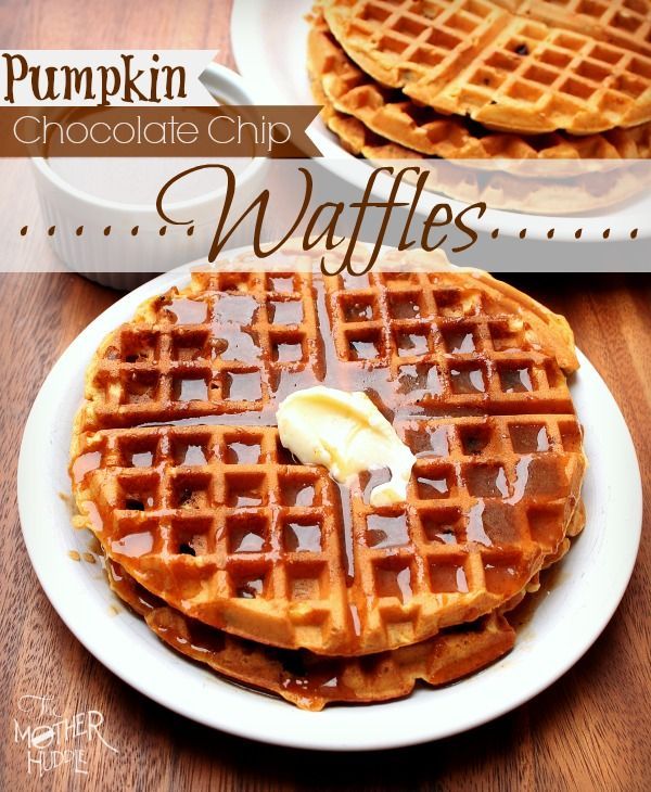 pumpkin chocolate chip waffles on a white plate with syrup drizzled over them