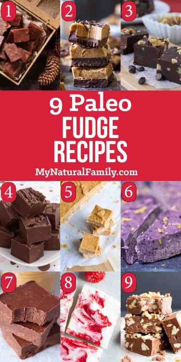 a collage of different types of fudges and desserts with text overlay that reads, 9 paleo fudge recipes