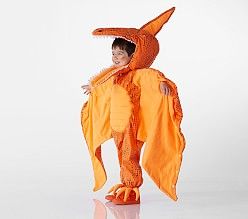 a young boy dressed in an orange dragon costume