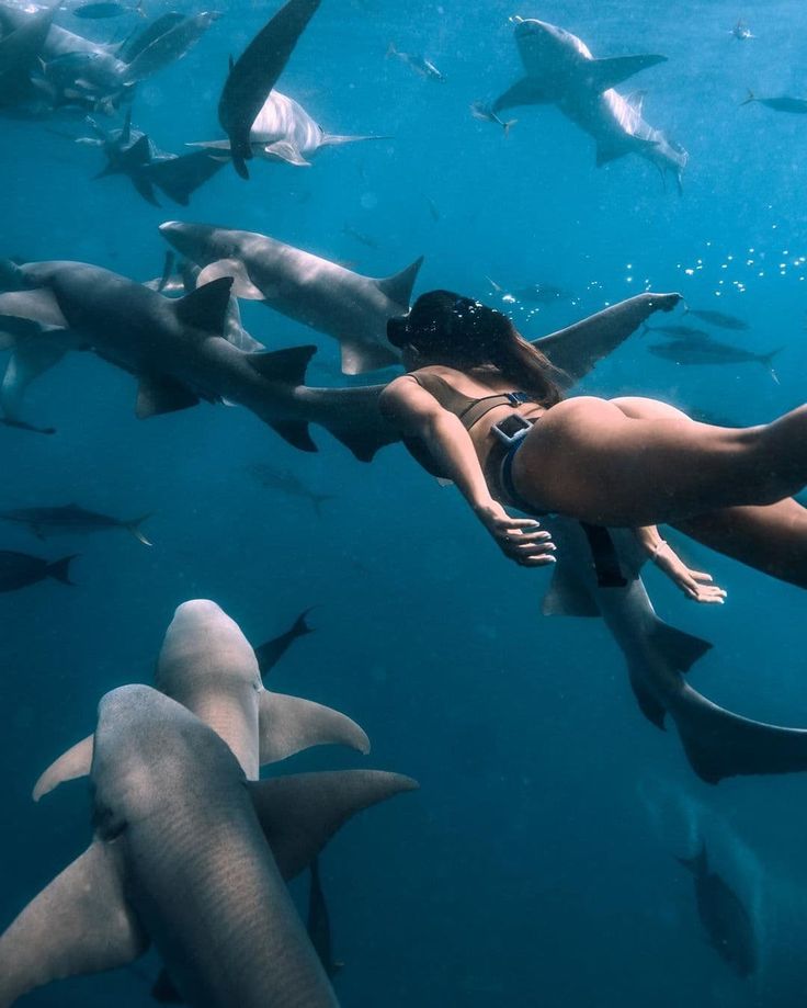 a woman swims in the water surrounded by sharks