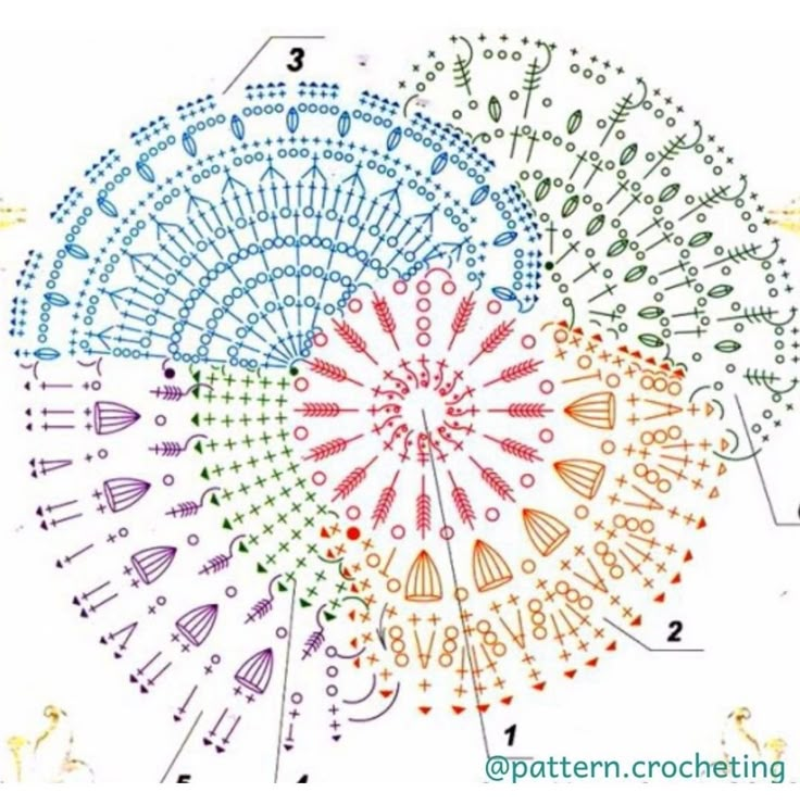 the diagram shows how many different types of flowers can be seen in this image,